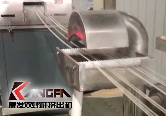 65高扭+PLC，尼龍加纖雙螺桿擠出機試機